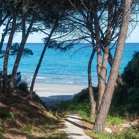 I Pini Di Fuile 'E Mare Apartment Orosei Exterior foto